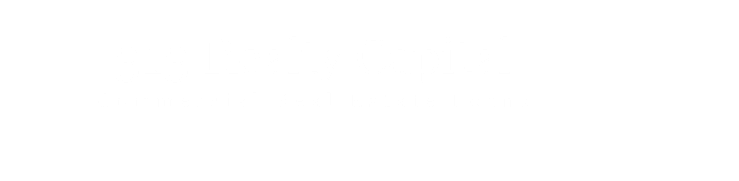 313 Realty Capital